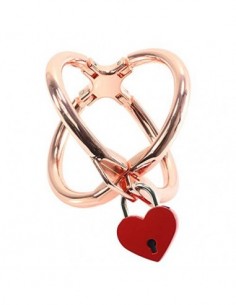 Healifty Metal Tobillo Esposas Esposas Tobillo Restricciones para Mujeres Hombres Cosplay Jugar Oro Rosa