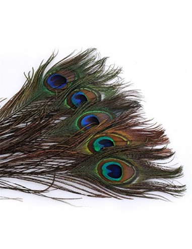 ERGEOB® Plumas del Pavo Real 25-30 cm / 10-12 Pulgadas de Longitud de Las Plumas Naturales para la Muestra de Artesanía Carna